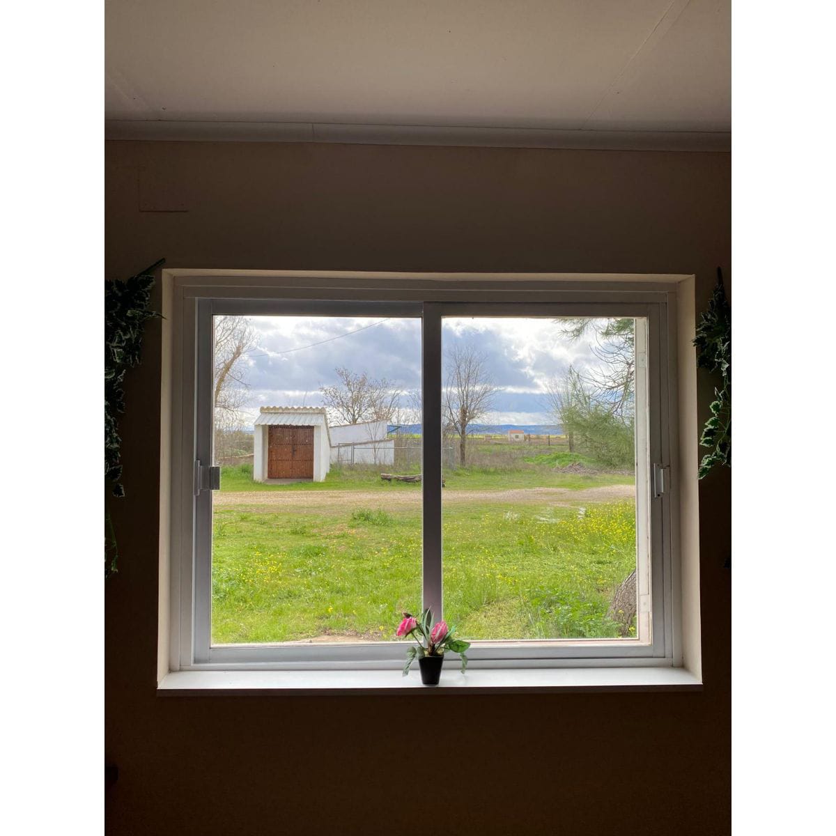 Kimi - Retiro de fin de año